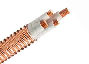 Fogo - padrão IEC60502 elétrico mineral resistente do cabo isolado